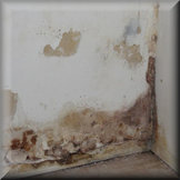 Rising damp prevention