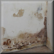 Rising damp prevention