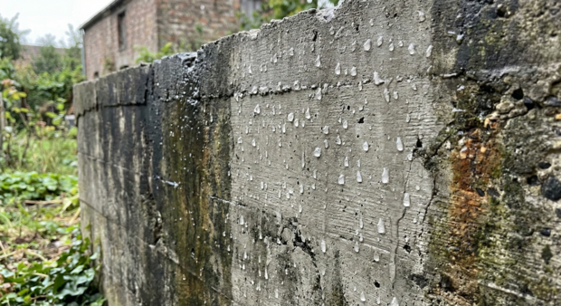 Funcosil C40 (12,5 liter)