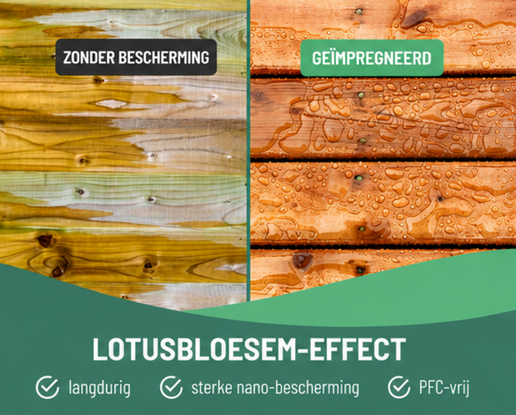 Ecofy WPC Holz impraegnierung 5L